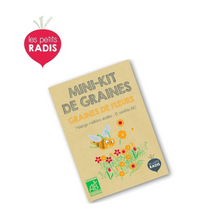  Mini kit de graines BIO Les Petits Radis - Fleurs mellifères - CHAT-MALO Paris