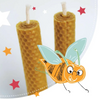 Kit Les Petits Radis - Fabrication de bougies en cire d'abeille - CHAT-MALO Paris