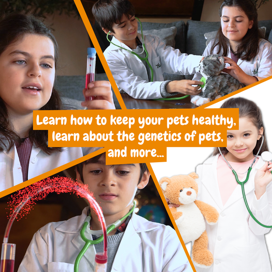 Science4you - My First Veterinary Kit - Toy, Game for Kids (7 languages)