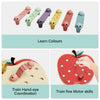 Jactal - Apple Worms Topbright Educational Game