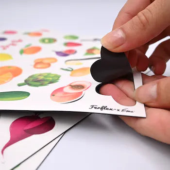 Ferflex - Jeu magnétique - fruits et légumes