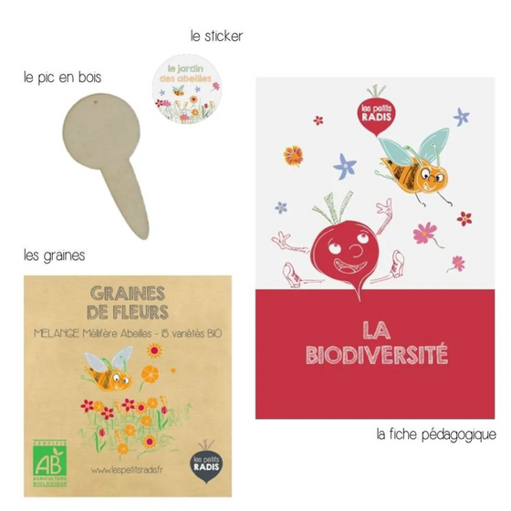 Mini kit de graines BIO Les Petits Radis - Fleurs mellifères