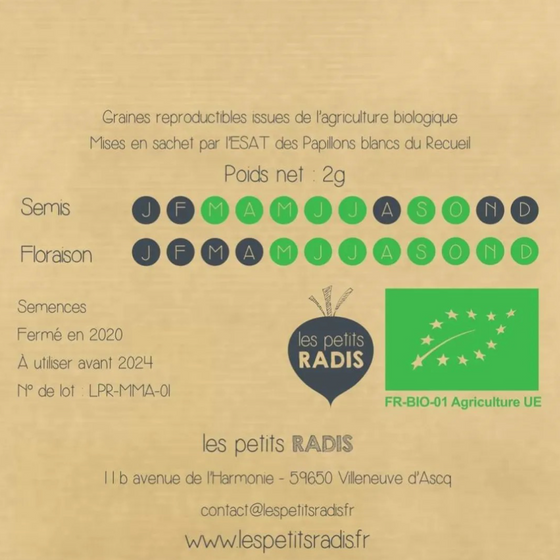 Mini kit de graines BIO Les Petits Radis - Fleurs mellifères - CHAT-MALO Paris