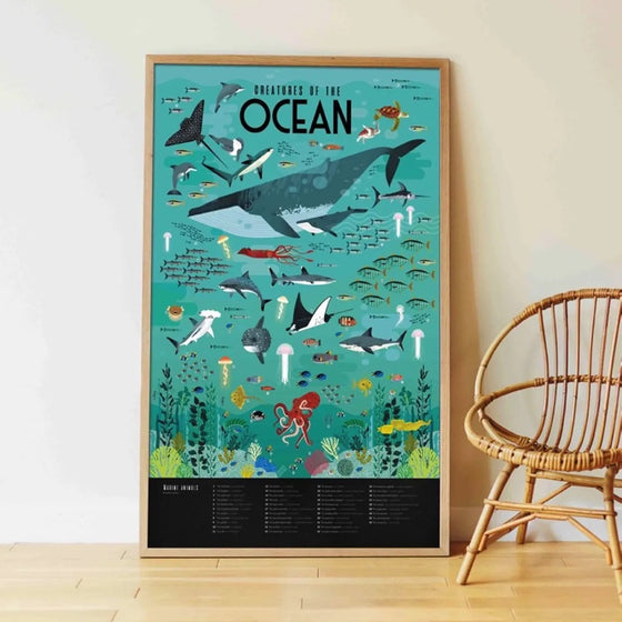 Poppik : Poster - Discovery Oceans